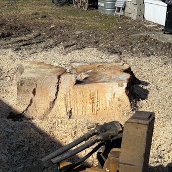 S & S Stump Grinding - Tree Services Near Me - Chesterton, Indiana S & S Stump Grinding - Tree Services Near Me - Chesterton, Indiana