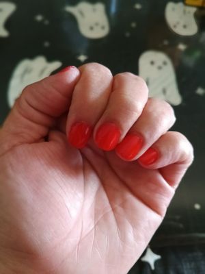 Red Persimmon by null