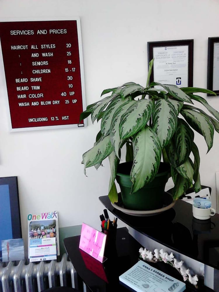 ANNA’S BARBER SHOP CLOSED Updated August 2024 16 Reviews 7 Erskine Avenue, Toronto