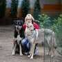 Photo of Hundepension Liane Kramer