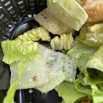 Bonefish Grill - Seafood Near Me - Concord Mills, North Carolina
