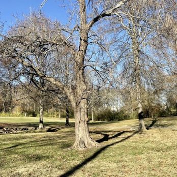 Parmer Park - Parks Near Me - Belle Meade, Tennessee