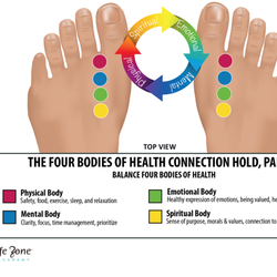 The Balanced Sole