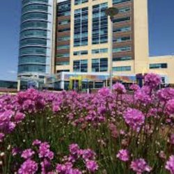 Inova Primary Care - Falls Church - Inova Falls Church