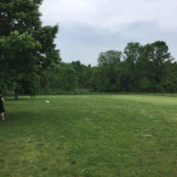 Evesham Dog Park - Dog Parks Near Me - Evesham Township, New Jersey Evesham Dog Park - Dog Parks Near Me - Evesham Township, New Jersey