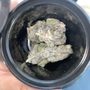 Photo of Doctors Orders