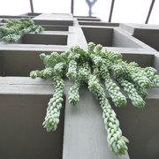 Foto zu Tropengewächshäuser des Botanischen Gartens - Hamburg, Deutschland