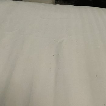 Ithaca of South Beach Hotel - Gross on the bed after laying here with my socks on. - Hotels Near Me - Miami Beach, Florida Ithaca of South Beach Hotel - Gross on the bed after laying here with my socks on. - Hotels Near Me - Miami Beach, Florida
