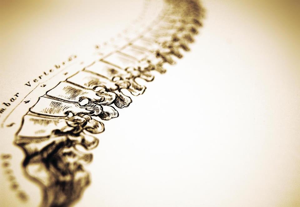 Lakewood Chiropractic Logo