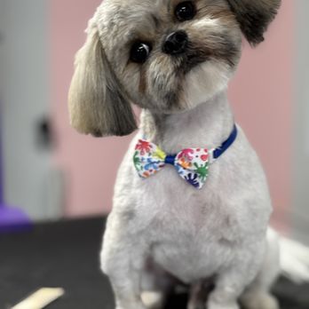 Pretty Groom - Pet Groomers Near Me - Midlothian, Virginia