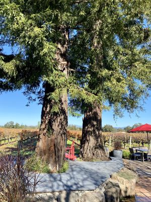 Hanna Winery by null