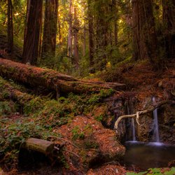 California State Parks Backpacking Adventures - Slate creek at sunset