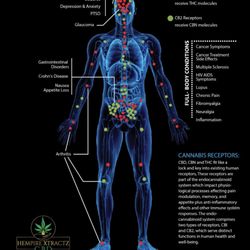 Hempire Xtractz CBD