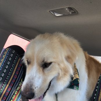 Muddy Paws - Pet Groomers Near Me - McKinleyville, California Muddy Paws - Pet Groomers Near Me - McKinleyville, California