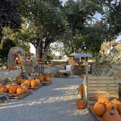 Wissel Farms