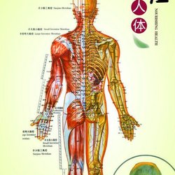 Li's Asian Massage Spa