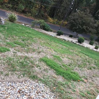 TruGreen Lawn Care - TruGreen lawn care results - after paying for several applications and also aeration and seeding - Lawn Services Near Me - Andover, Massachusetts