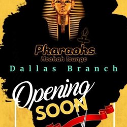 Pharaohs Hookah Lounge - Dallas