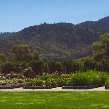 Brix - More scenery - New American Near Me - Napa, California