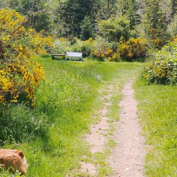 Bandix Dog Park - Dog Parks Near Me - Olalla, Washington Bandix Dog Park - Dog Parks Near Me - Olalla, Washington