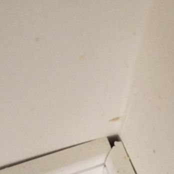Main Street Homes - This is their version of how coped baseboard joints appear. - Real Estate Services Near Me - Midlothian, Virginia Main Street Homes - This is their version of how coped baseboard joints appear. - Real Estate Services Near Me - Midlothian, Virginia