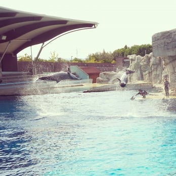Oltremare - Zoos Near Me - Riccione, RN Oltremare - Zoos Near Me - Riccione, RN