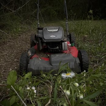BH Mowing - Cutting brush with a push mower - Lawn Services Near Me BH Mowing - Cutting brush with a push mower - Lawn Services Near Me