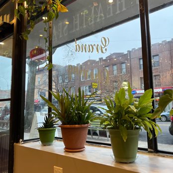 Young Health Spa - Plants - Massage Near Me - Astoria, New York Young Health Spa - Plants - Massage Near Me - Astoria, New York