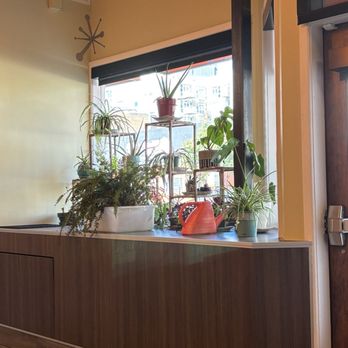 Snooze, an A.M. Eatery - Cute plant assortment located in rear dining room - Breakfast & Brunch Near Me - Denver, Colorado