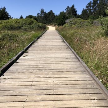 Bodega Bay RV Park - RV Parks Near Me - Bodega Bay, California Bodega Bay RV Park - RV Parks Near Me - Bodega Bay, California