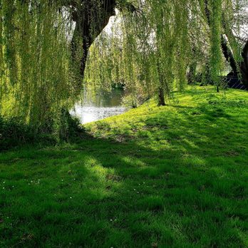 The Regent's Park - Parks Near Me - London, XGL