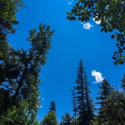 Elk Creek Campground & Rv Park