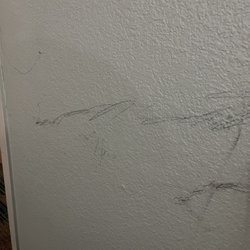 Days Inn by Wyndham Hattiesburg MS - Scribbles over the wall