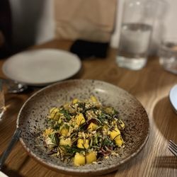 Besharam - Mango Salad