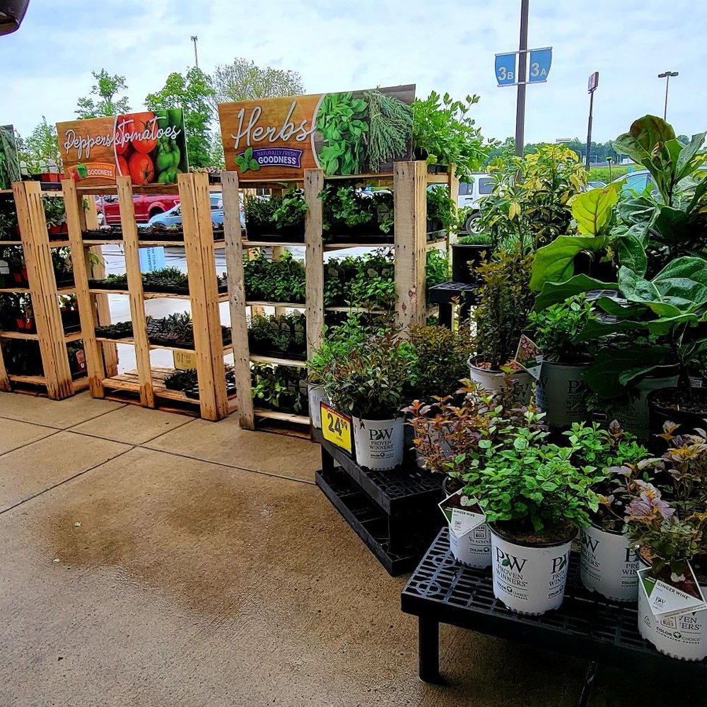 Kroger - Tons of plants seasonally - Grocery Near Me - Mount Orab, Ohio