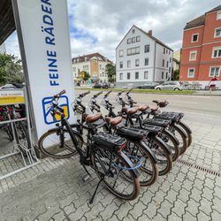 Feine Räder - Feine Räder Regensburg Leihräder