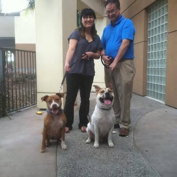 WAGS Pet Adoption - FIRST MEETING - Animal Shelters Near Me - Westminster, California WAGS Pet Adoption - FIRST MEETING - Animal Shelters Near Me - Westminster, California