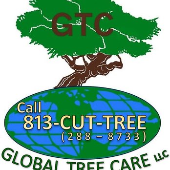 Global Tree Care - Call today for a free estimate - Tree Services Near Me - Spring Hill, Florida Global Tree Care - Call today for a free estimate - Tree Services Near Me - Spring Hill, Florida