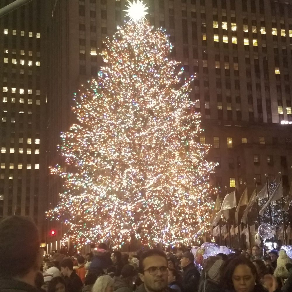 Rockefeller Center Christmas Tree - Christmas Trees Near Me - New York, New York Rockefeller Center Christmas Tree - Christmas Trees Near Me - New York, New York