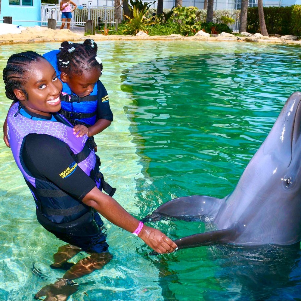 Dolphin World - Swimming with the dolphins. - Travel Services Near Me - Fort Lauderdale, Florida