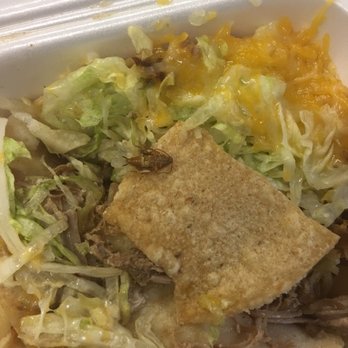 Casa Playa - Yep... that's right a roach was in my food - Mexican Near Me - Redondo Beach, California