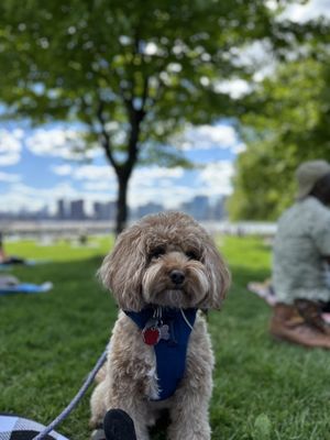 Gantry Plaza State Park by null