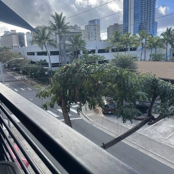 Café LAPIN - View from lanai table - Coffee & Tea Near Me - Honolulu, Hawaii Café LAPIN - View from lanai table - Coffee & Tea Near Me - Honolulu, Hawaii