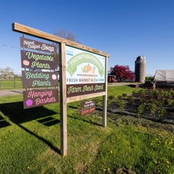 Thompson Produce