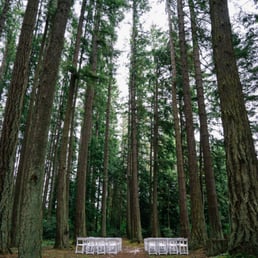 Rental chairs Rental chairs