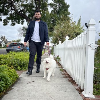 Pawsome Pet Watch - Pet Sitting Near Me - Anaheim, California Pawsome Pet Watch - Pet Sitting Near Me - Anaheim, California