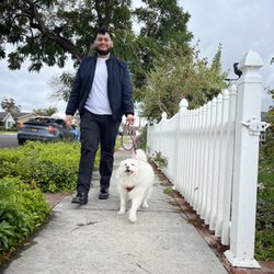 Pawsome Pet Watch