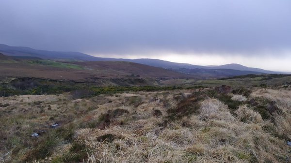 Diamond Hill by null