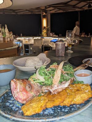 Encanto Beach Club Bar & Grill by null