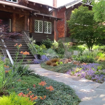 Tamar Carson Landscaping - Berkeley brown shingle woodland garden with Three Rivers flagstone path - Landscaping Near Me Tamar Carson Landscaping - Berkeley brown shingle woodland garden with Three Rivers flagstone path - Landscaping Near Me